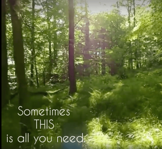 Screen Shot 2018-02-09 at 16.59.00