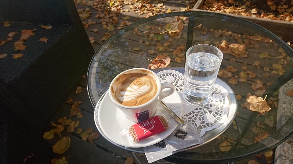 46501374_10156885591008055_4904360740837654528_n