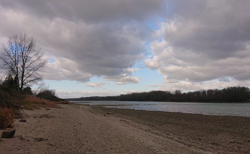 #31  “ Wem gehört die Welt?&nbsp;„