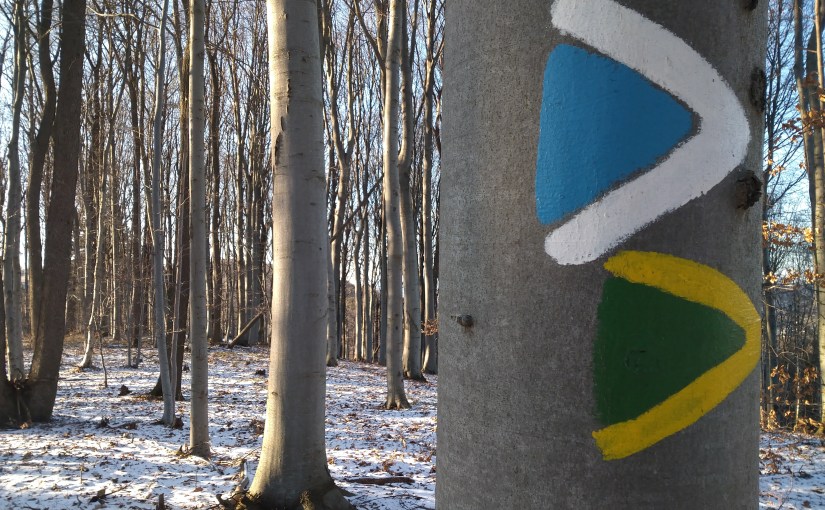 #84 „Kreativität – Creativity“