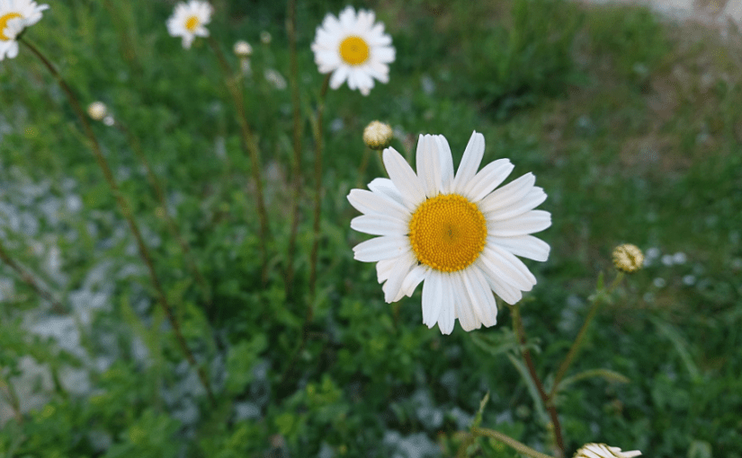 #130 „one year ago – ein Jahr&nbsp;später“