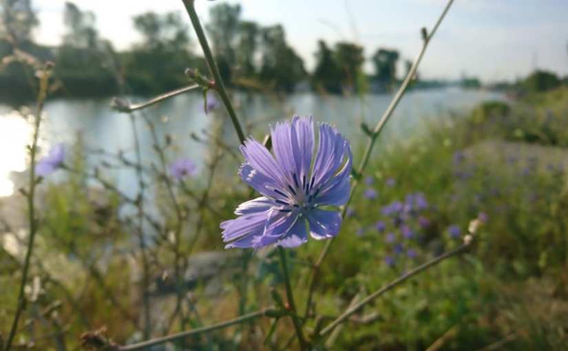 #150 „Die am Weg –&nbsp;warten“